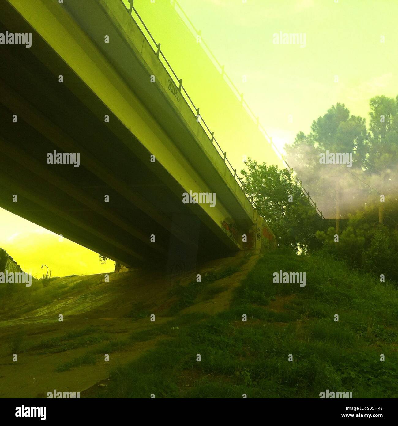 Immagine riflessa di un ponte autostradale da sotto (a doppio effetto di esposizione) in estate lungo la linea di cintura pista ciclabile in Atlanta, Georgia, Stati Uniti d'America Foto Stock