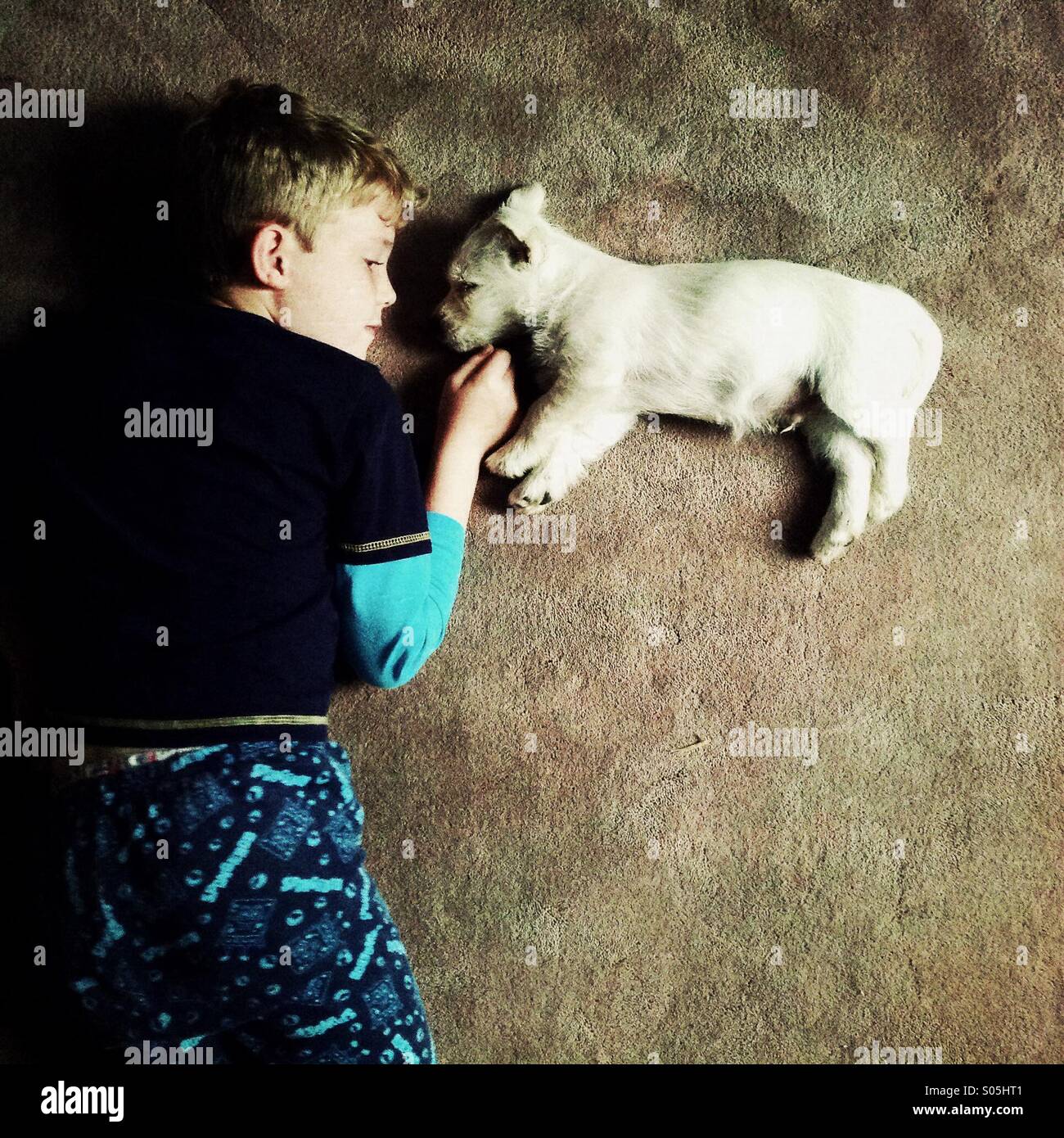 Ragazzo in pigiama con un giovane cucciolo posa sul pavimento guardando ogni altro Foto Stock