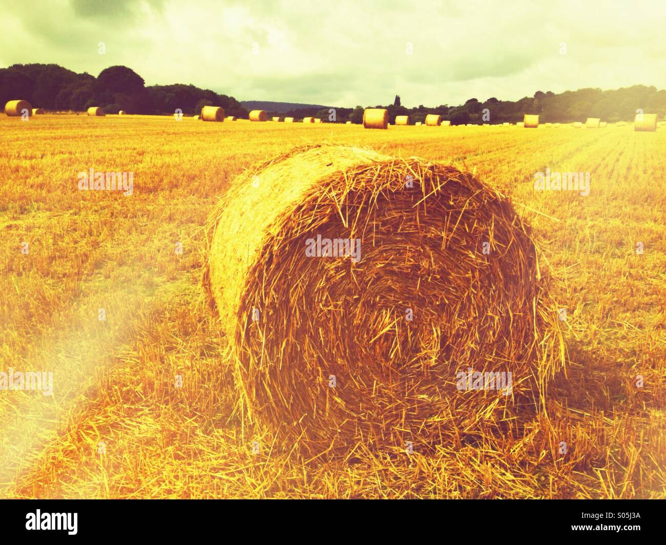 Una visione idilliaca di una balla di fieno con raggi di sole e di colore dorato. Foto Stock