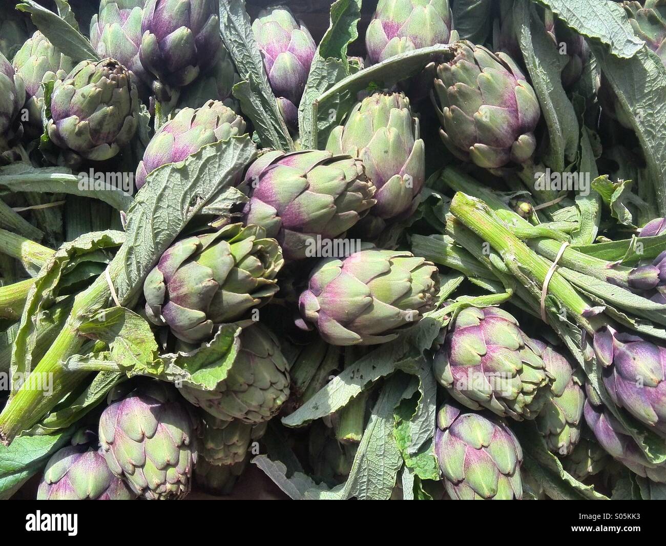 Prepara i carciofi per una ricetta a tutto campo. Foto di un telefono cellulare con post-elaborazione di alcuni telefoni o tablet. - Immagine stock catturata con smartphone