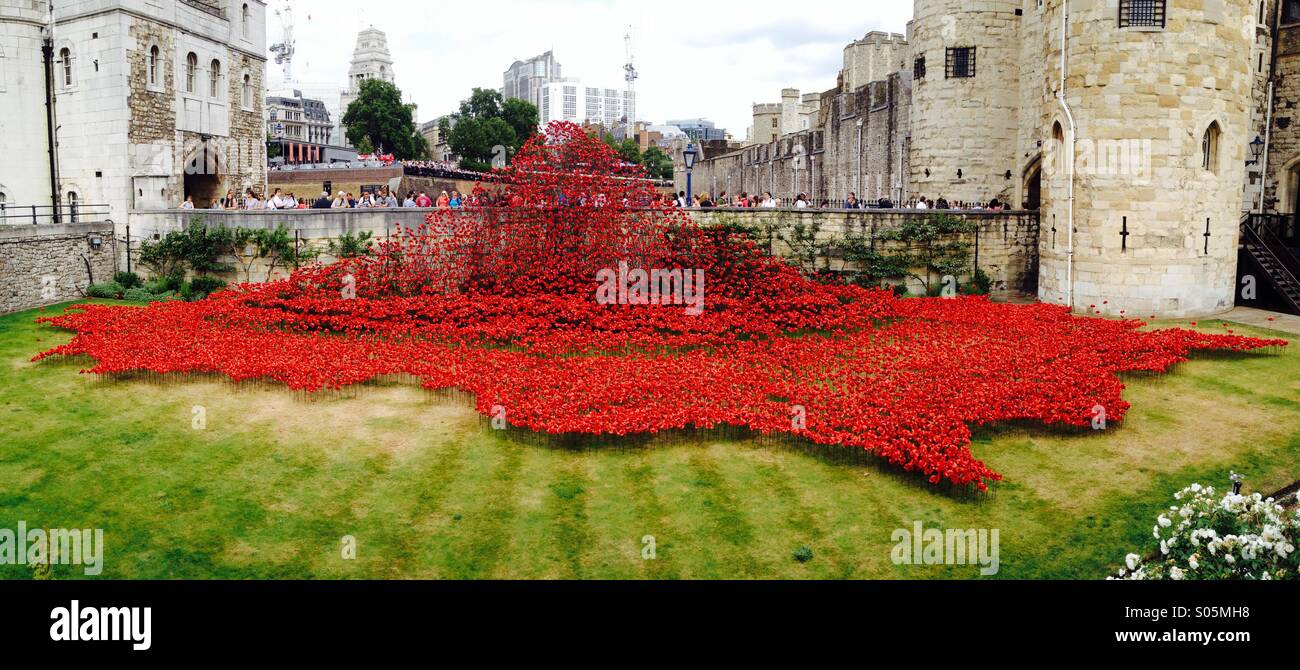 100 anni dopo l'inizio della guerra mondiale 1, papaveri sono disposte intorno alla Torre di Londra - Immagine stock catturata con smartphone