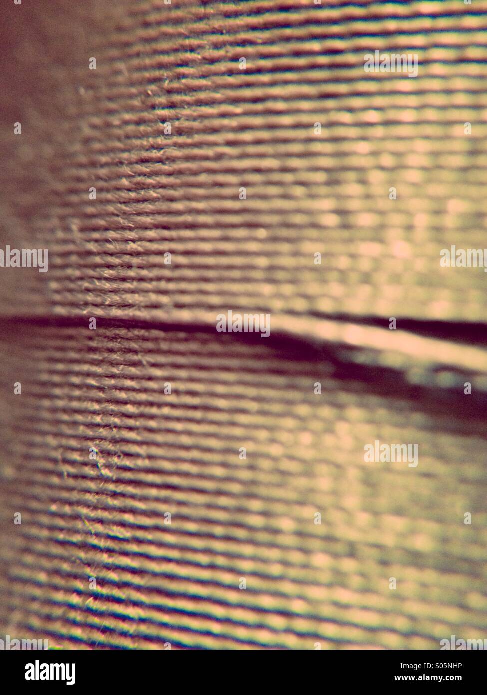 In prossimità della rocca di cotone Foto Stock