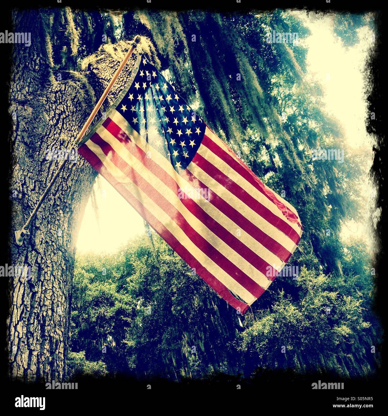 Strappati bandiera americana appeso a un albero. - Immagine stock catturata con smartphone