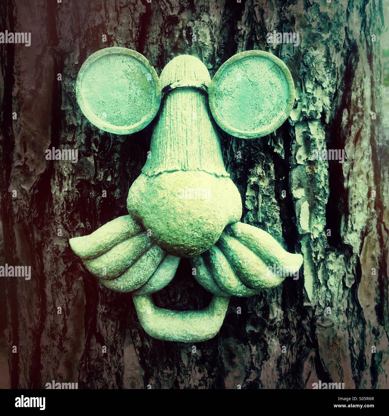 Una faccia ornamentali su un albero. - Immagine stock catturata con smartphone