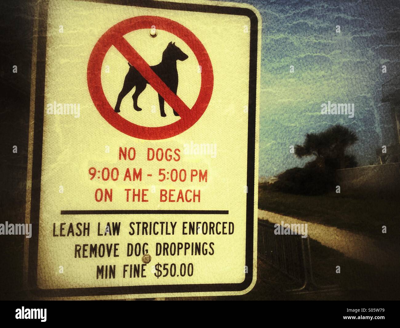 Firmare la consulenza di regole per cani sulla spiaggia. Foto Stock