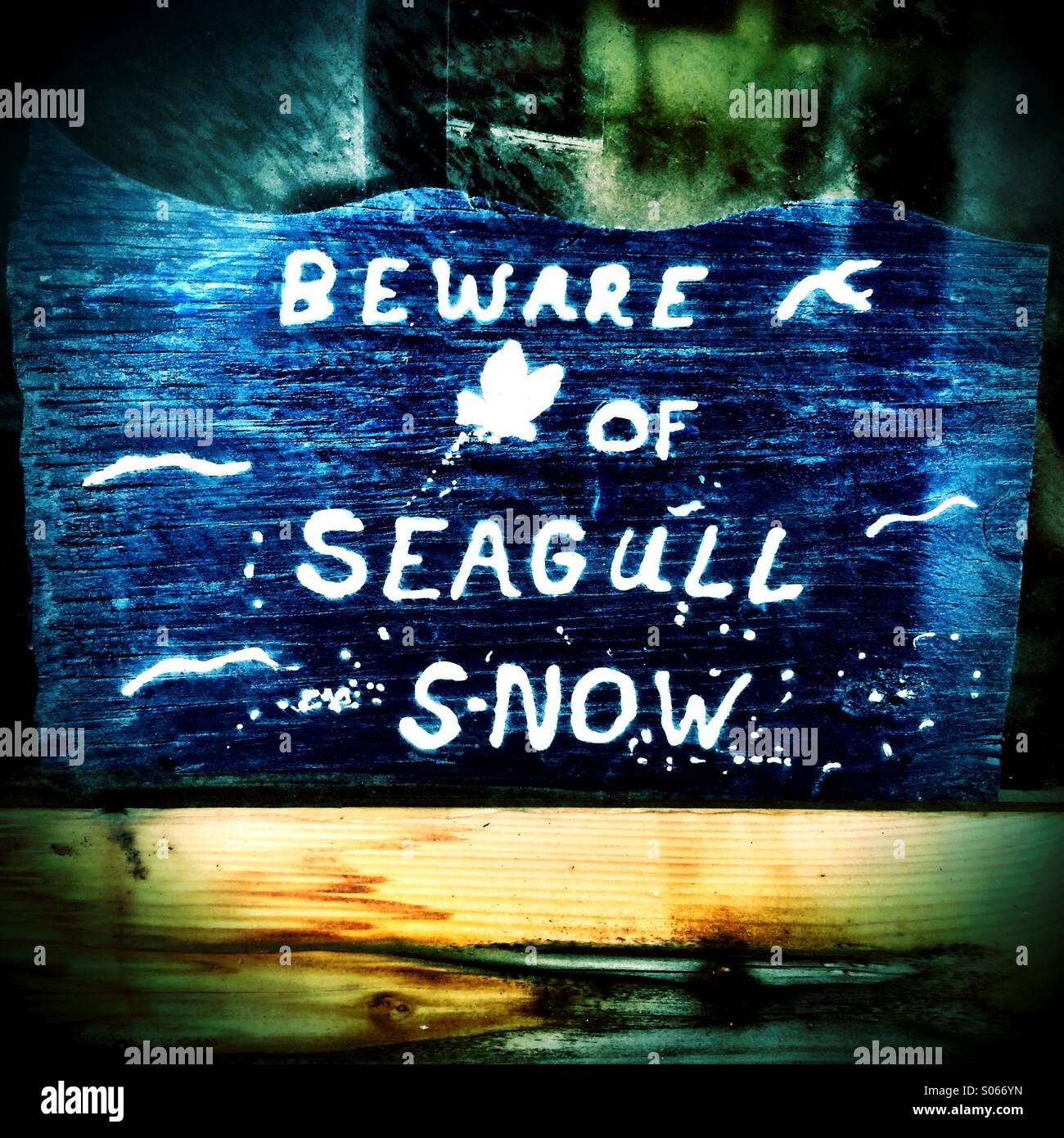 Segno umoristico su Jacksonville Beach Pier, Spiaggia di Jacksonville, Florida, Stati Uniti d'America. - Immagine stock catturata con smartphone