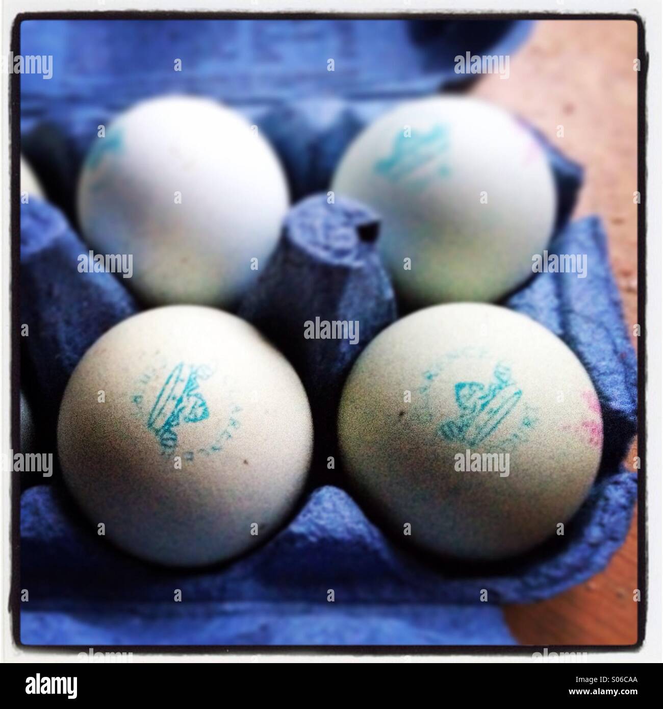 Uova in guscio blu Foto Stock