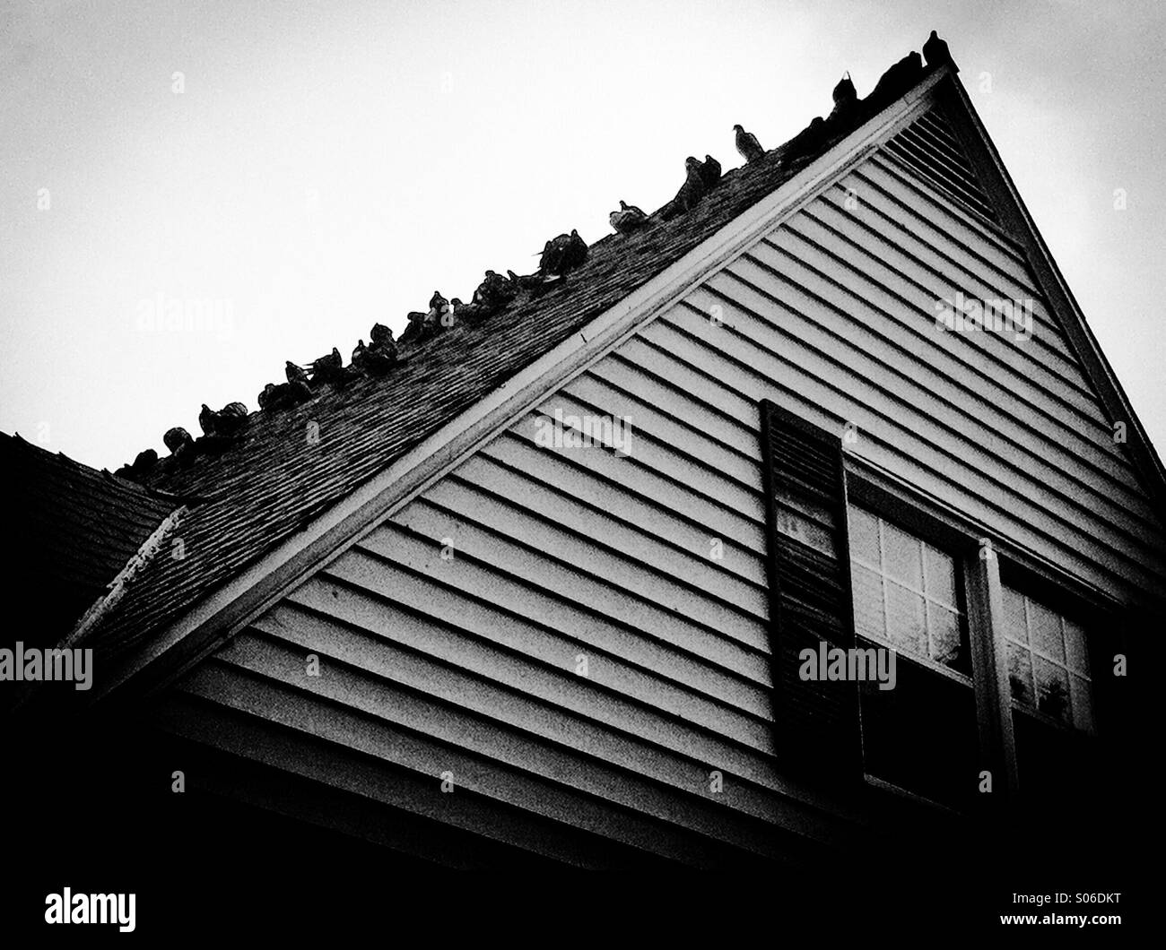 Creepy house con una linea di uccelli sul tetto Foto Stock
