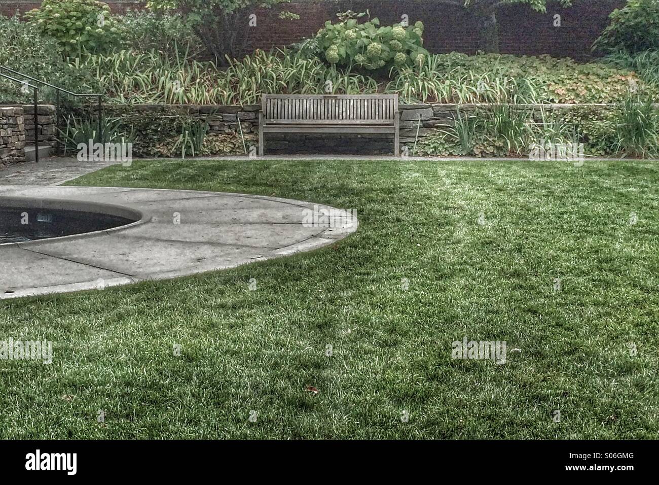 Solitaria una panchina nel parco - Immagine stock catturata con smartphone
