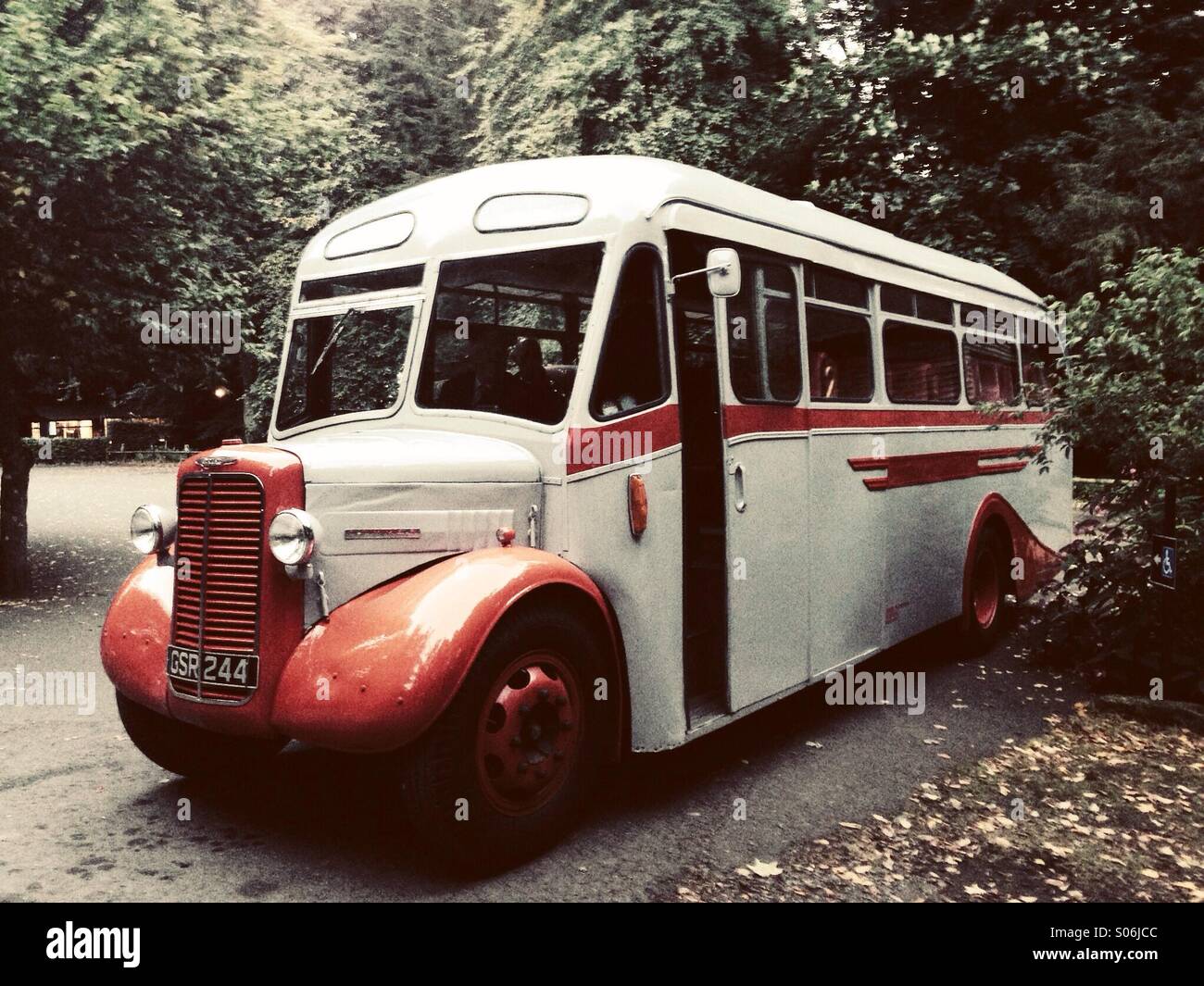 Commer Q4 1943 bus vintage nei boschi. Foto Stock