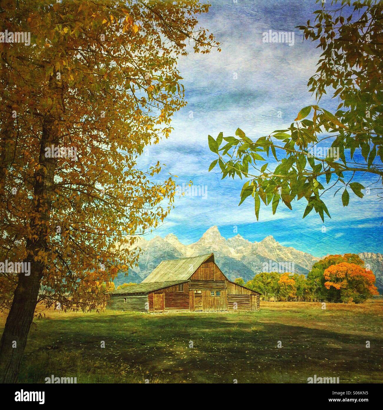 Autunno mattina presso la Moulton granaio sulla riga Mormone, Grand Teton National Park, Wyoming - Immagine stock catturata con smartphone