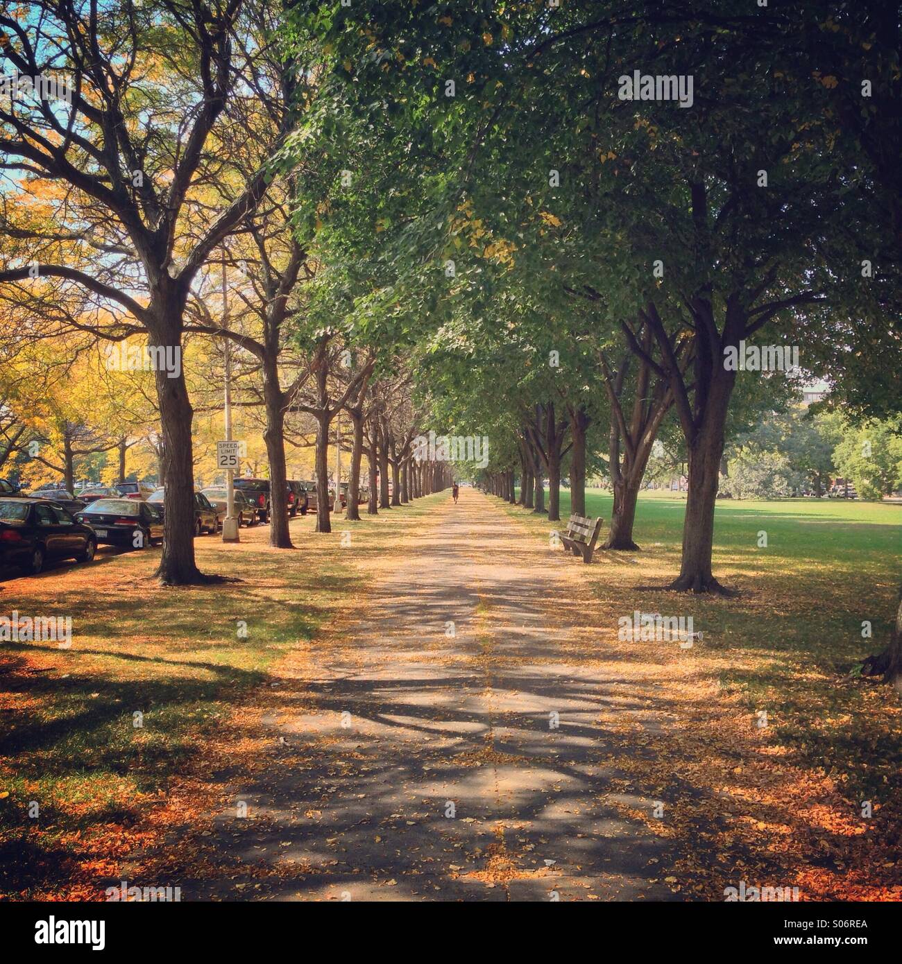 Midway Plaisance sul campus della University of Chicago in inizio di caduta in Chicago, IL, Stati Uniti d'America. - Immagine stock catturata con smartphone