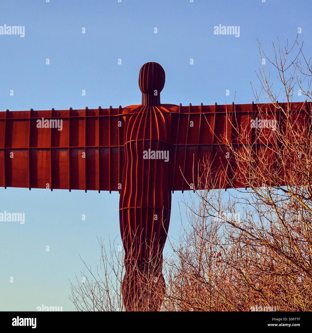 Angelo del Nord - Immagine stock catturata con smartphone