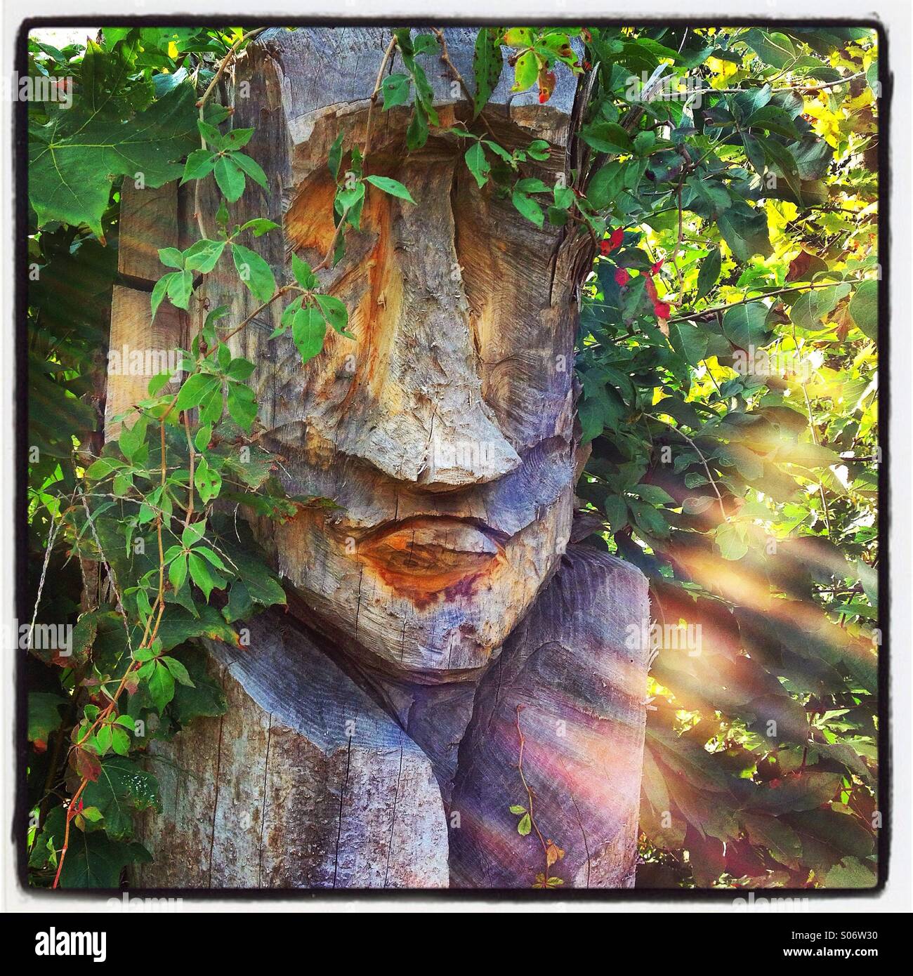 Tiki volto scolpito da un tronco di albero, coperte da vegetazione e retroilluminato mostra raggi visibili della luce. Foto Stock