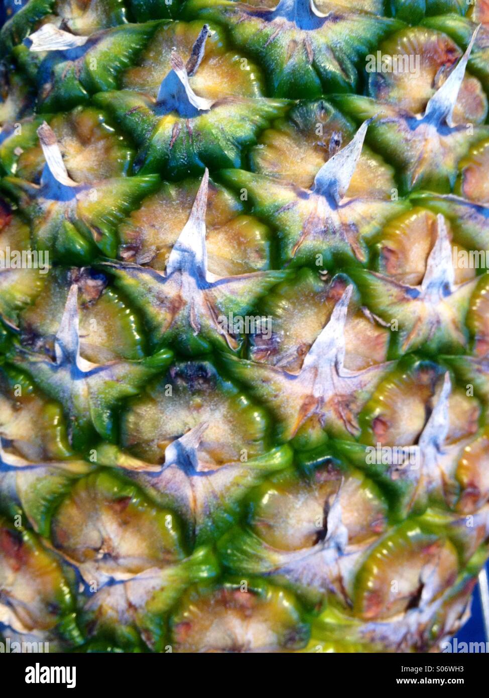 Dettagli ananas - Immagine stock catturata con smartphone