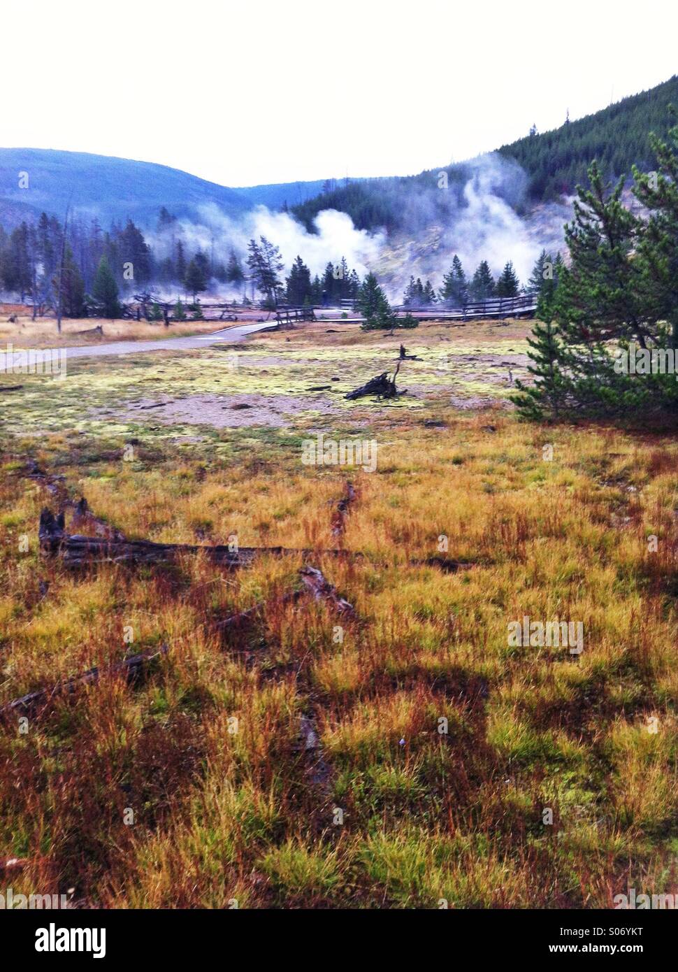 Il vapore che si eleva al di sopra artista paint pots a Yellowstone National Forest Foto Stock