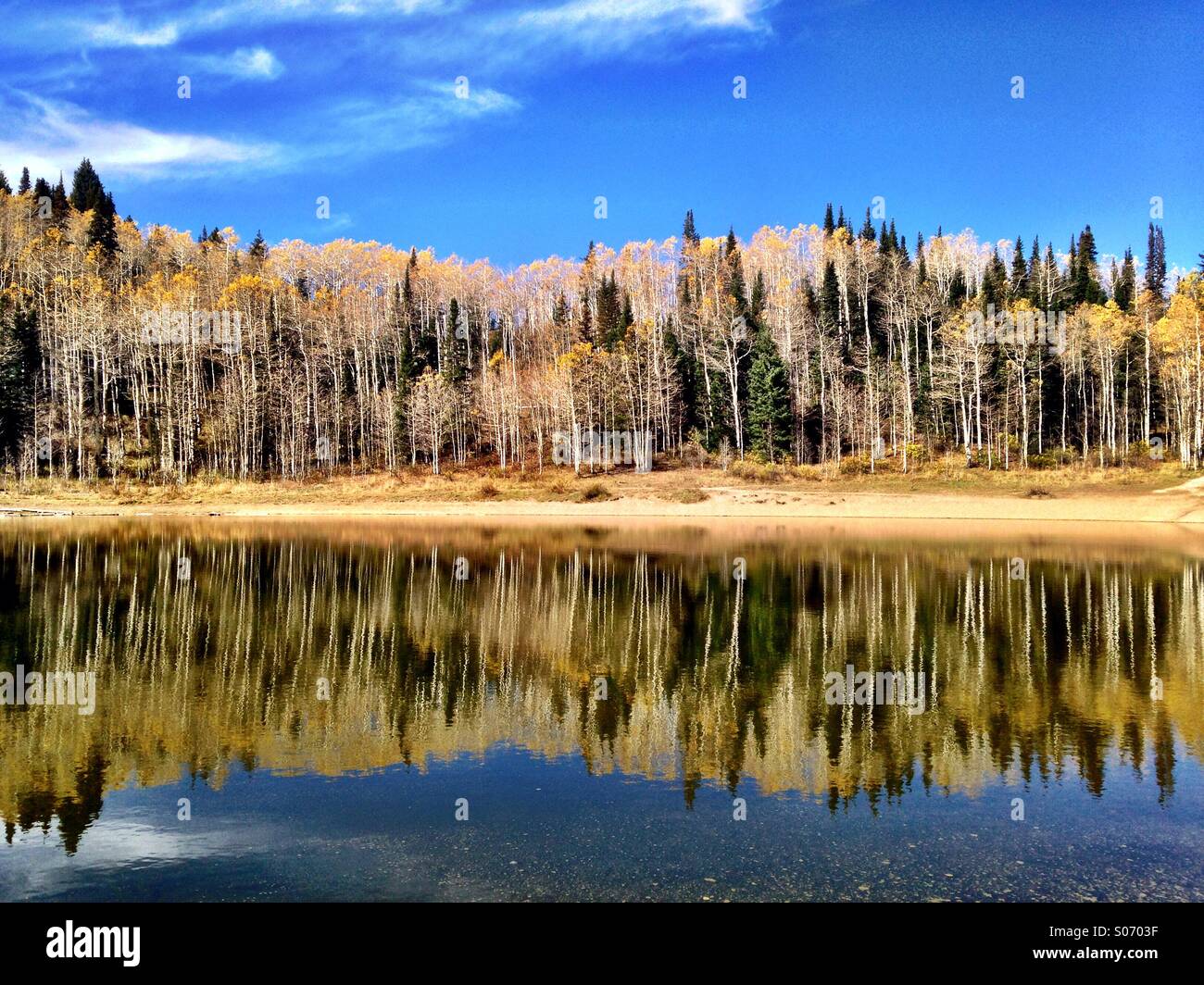 Caduta riflessioni a lago del cane nelle montagne Wasatch di Salt Lake City, UT. Foto Stock