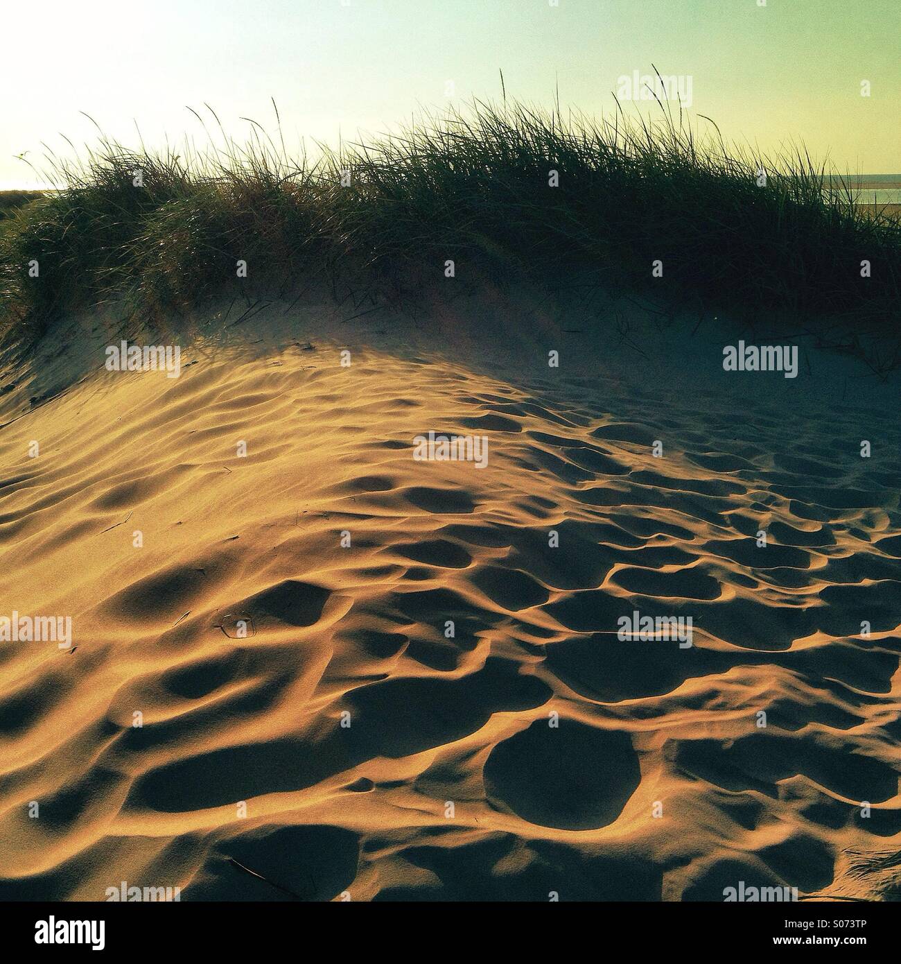 Dune di sabbia sulla spiaggia di Sankt-Peter-Ording nel tardo pomeriggio la luce solare, Nordfriesland, Schleswig-Holstein, Germania Foto Stock