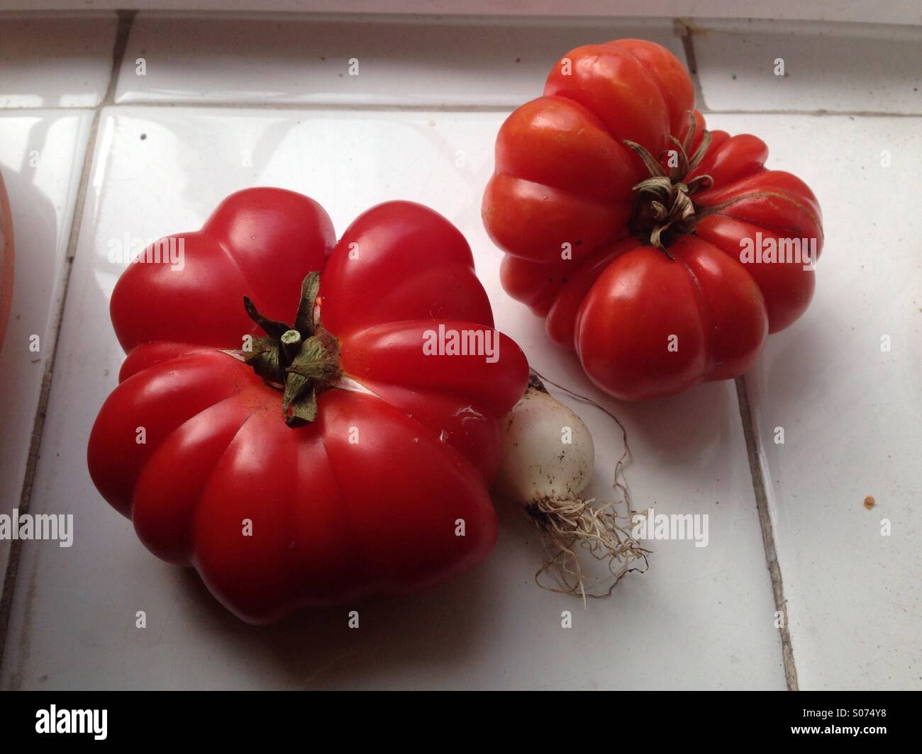 Cresciuto in casa carni bovine i pomodori e una molto piccola cipolla Foto Stock