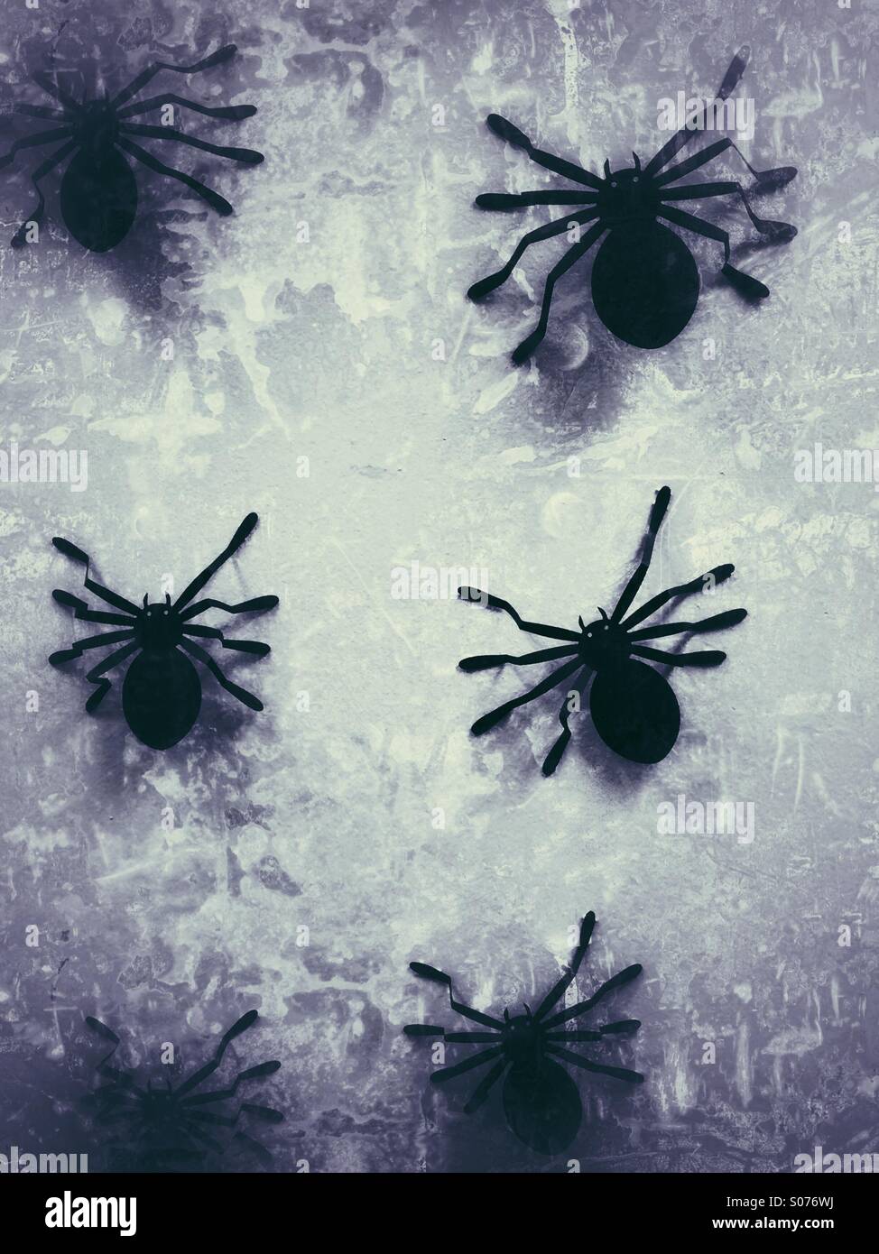 Spider decorazioni su una parete per Halloween Foto Stock