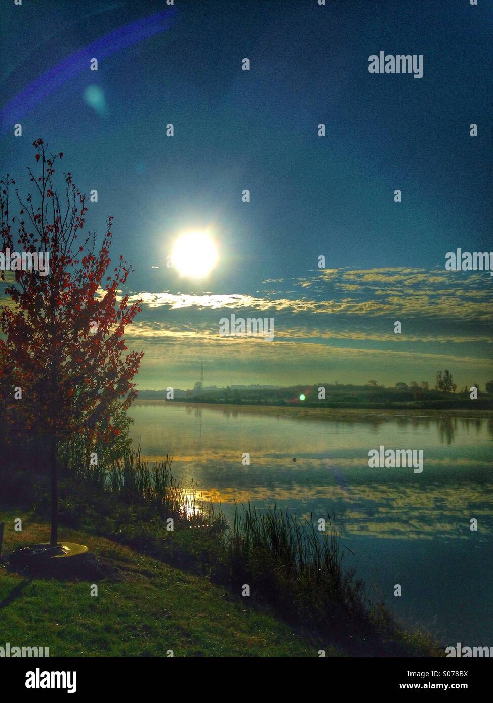 Una buona mattina autunnale. - Immagine stock catturata con smartphone
