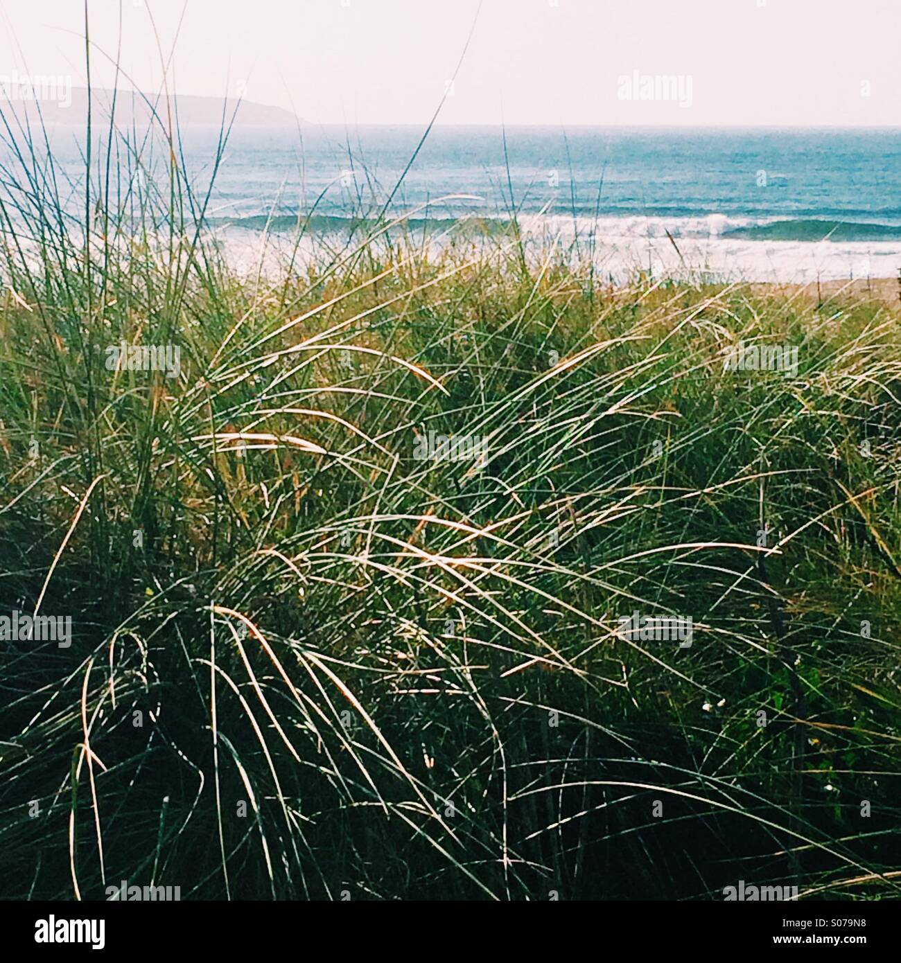 Vista dell'oceano con le onde in rotolamento attraverso erbe costiere. Foto Stock