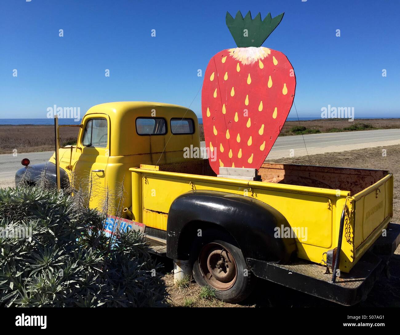 Berry Farm in California - Immagine stock catturata con smartphone