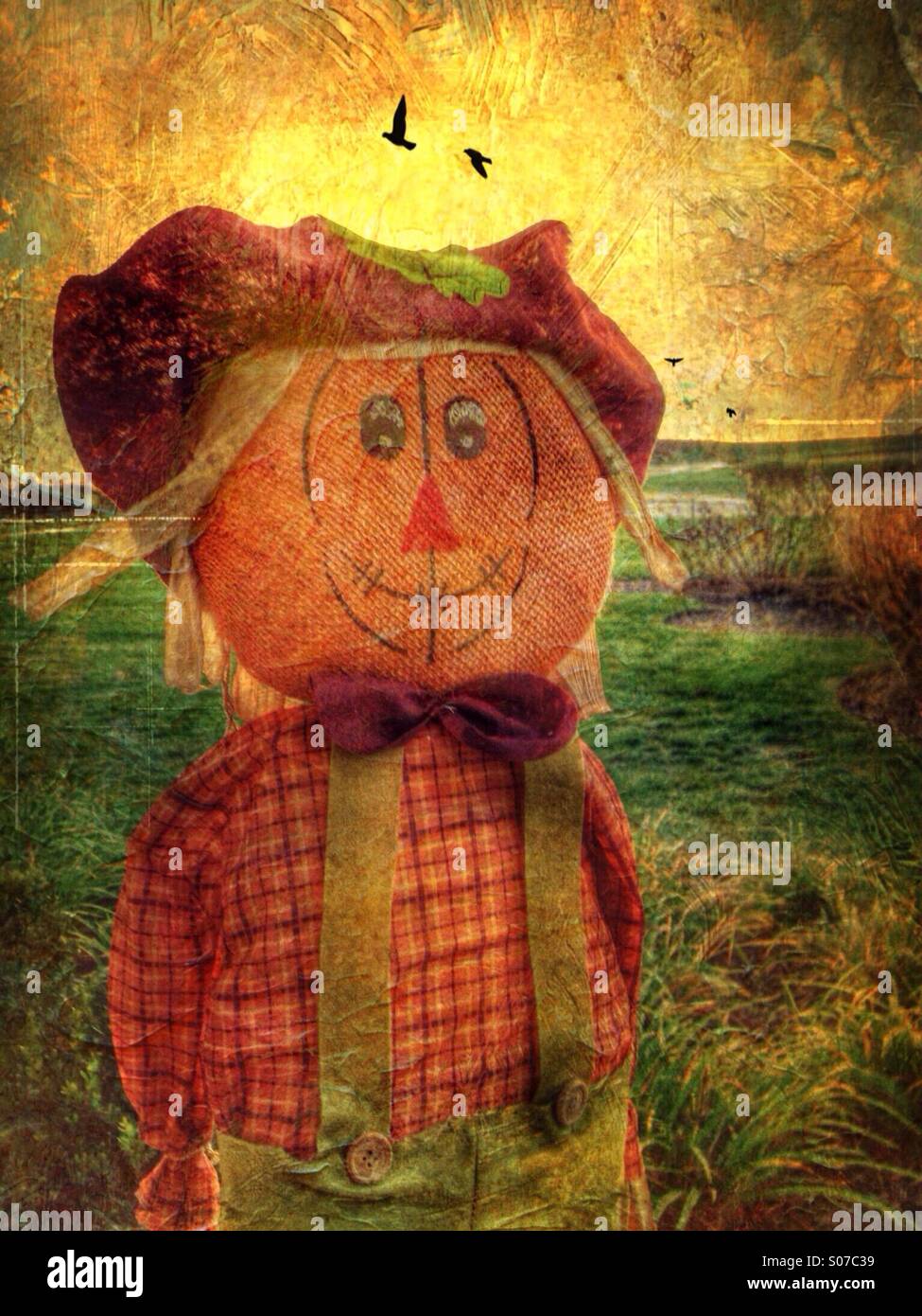 Uno spaventapasseri nella luce del sole dorato. - Immagine stock catturata con smartphone