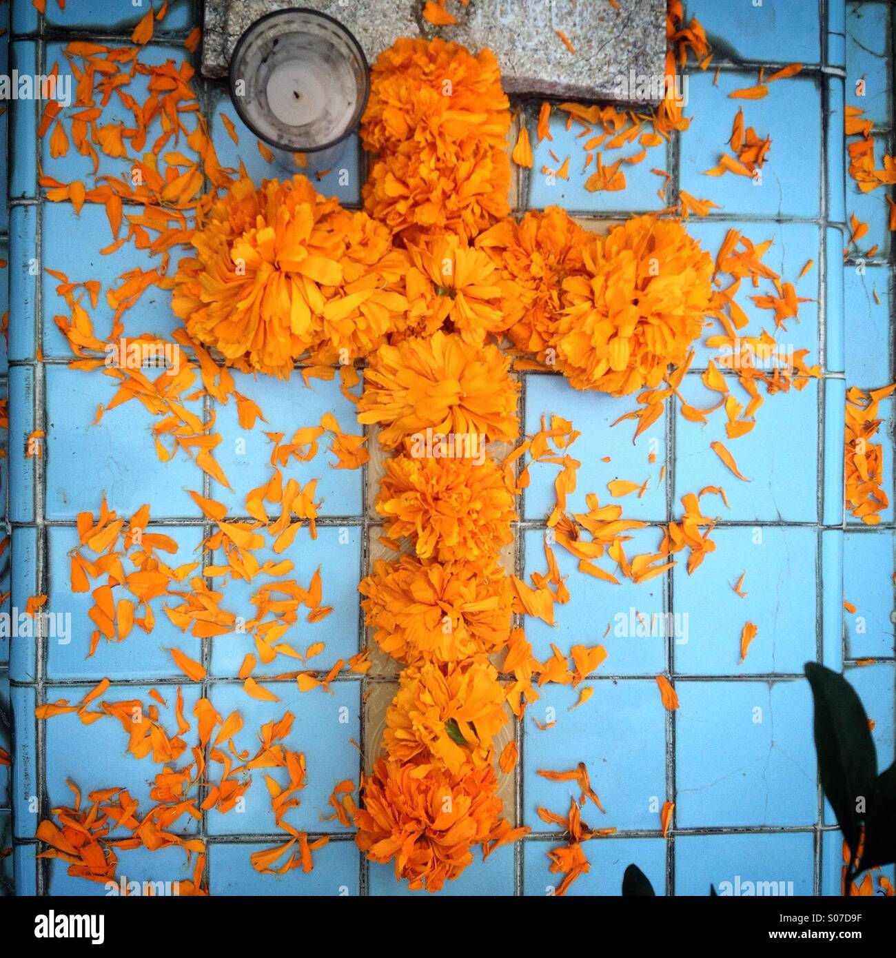Tagete croce decorare una tomba fatta con sky-ceramica blu durante il giorno dei morti celebrazioni in San Gregorio Atlapulco cimitero di Xochimilco, Città del Messico, Messico Foto Stock