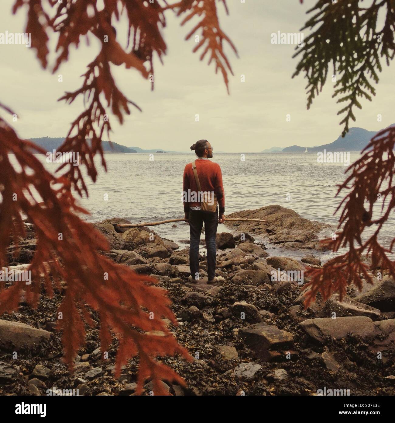 Uomo sulla spiaggia rocciosa con orange maglione stecco di presa e cedro arancione rami in primo piano. Foto Stock