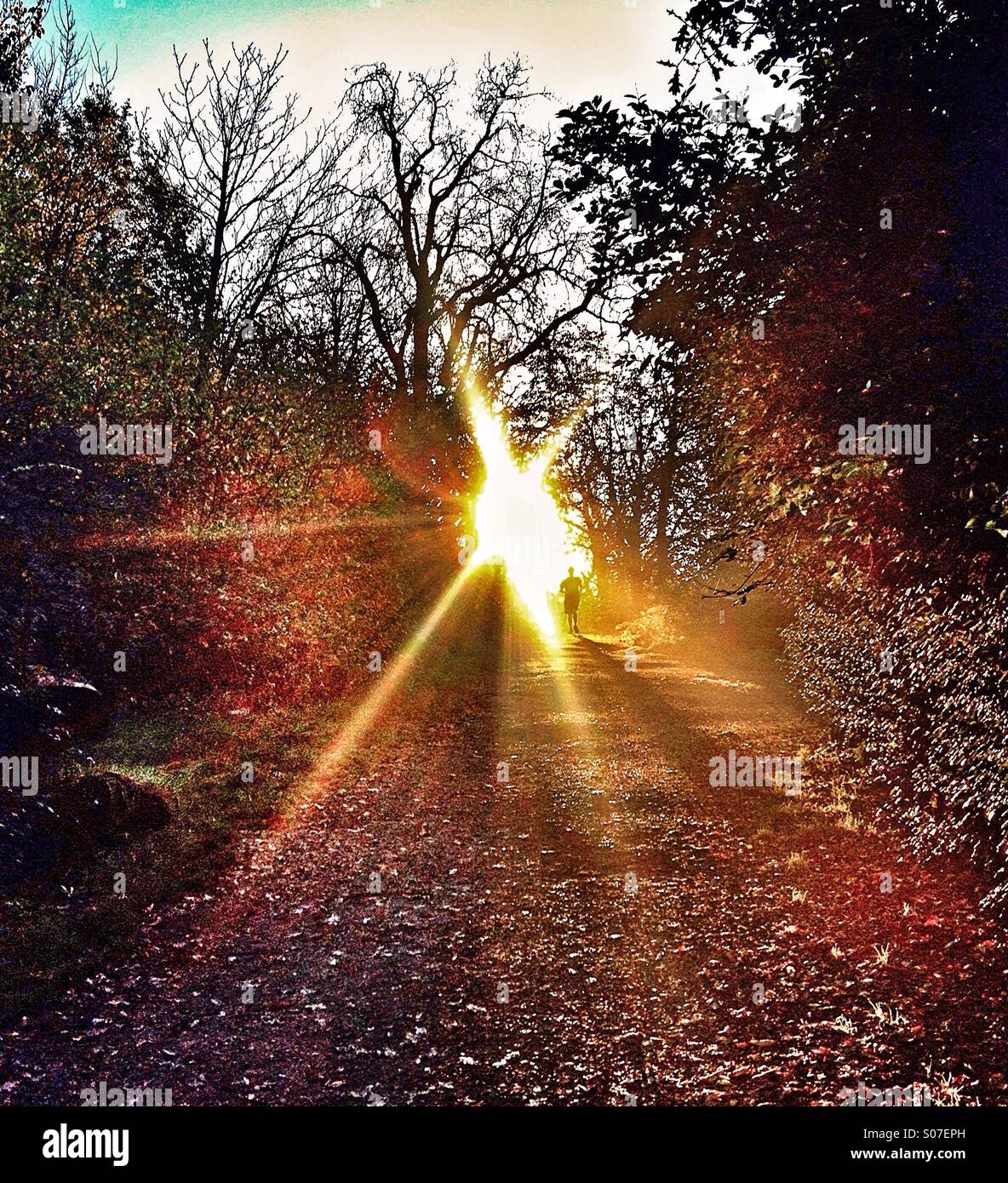 Esecuzione del pareggiatore lungo il percorso con burst di sole da dietro Foto Stock