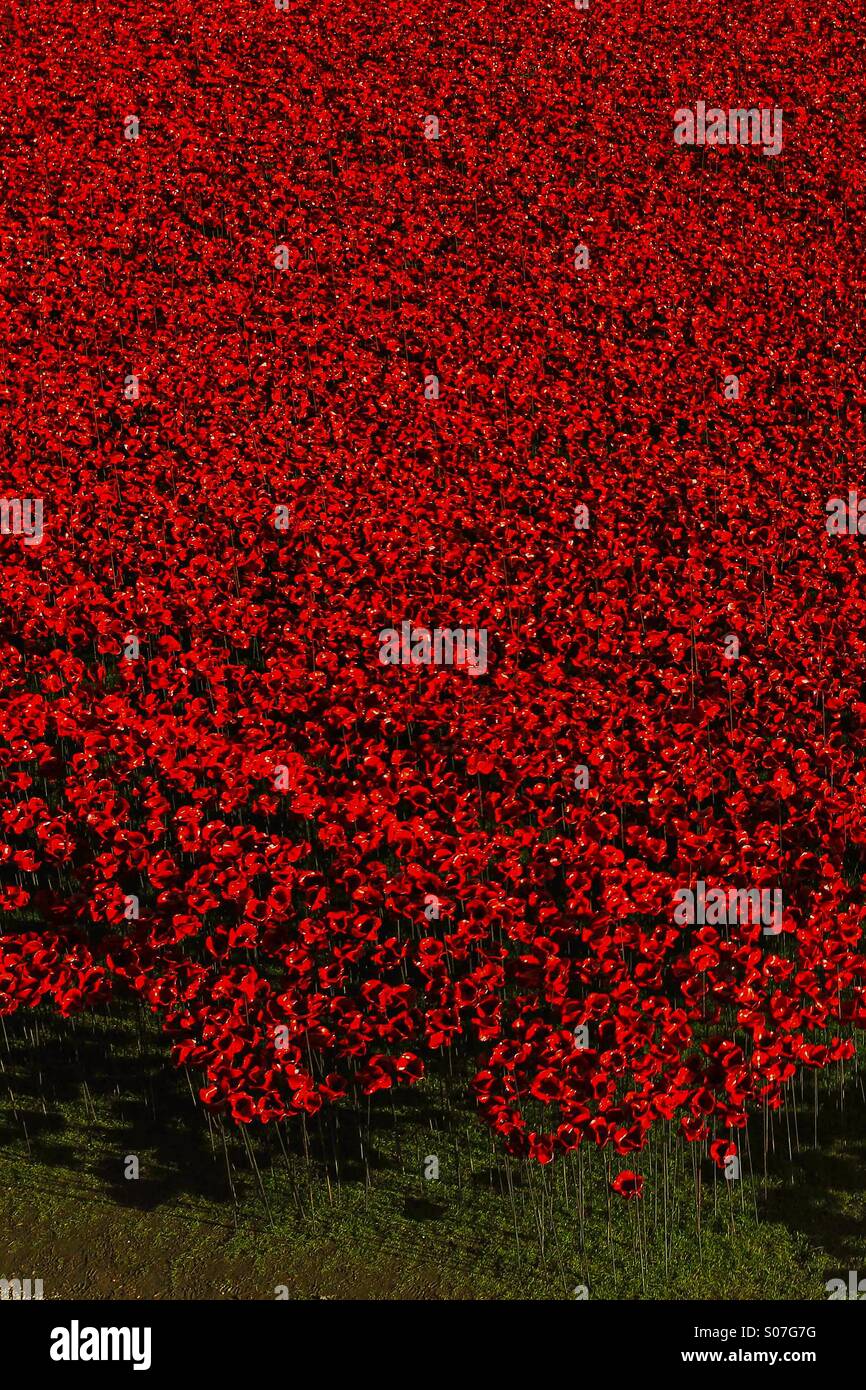 Il sangue spazzata di terre e mari di Rosso papavero ceramica installazione presso la Torre di Londra in ricordo dei caduti della Grande Guerra. Foto Stock