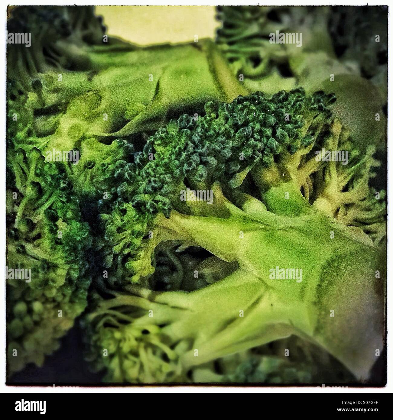 Verdure broccoli - Immagine stock catturata con smartphone