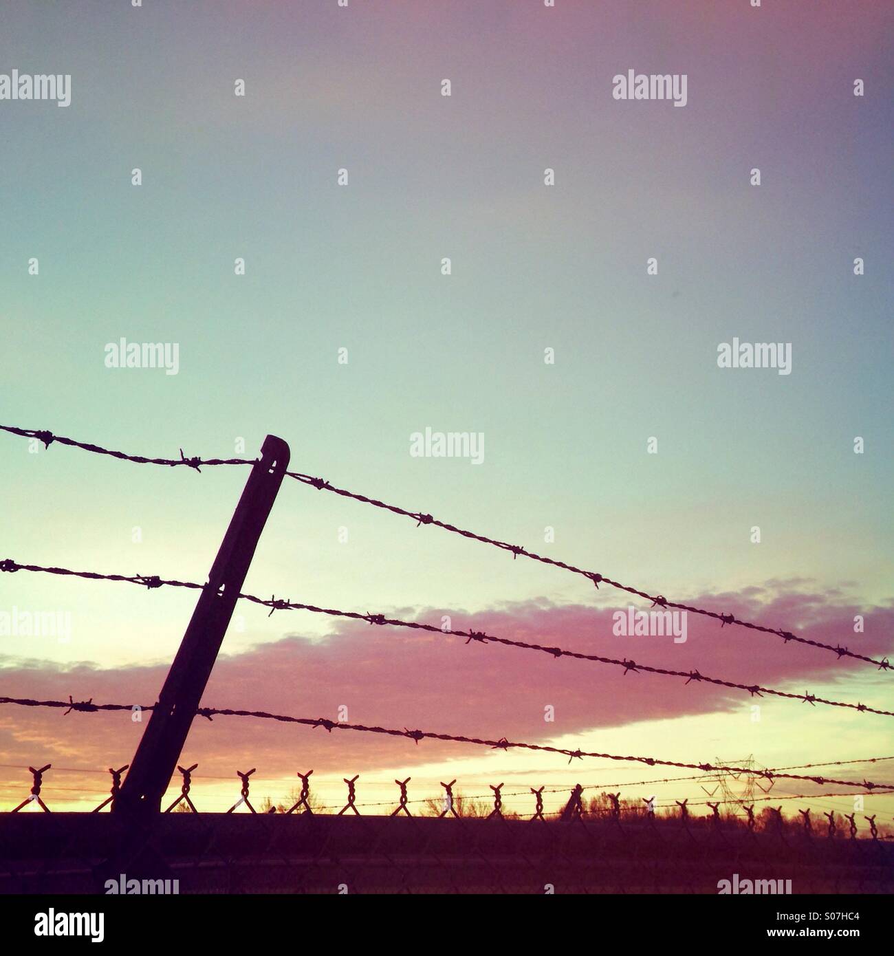 Silhouette di barb filo contro un rosso cielo mattutino - Immagine stock catturata con smartphone