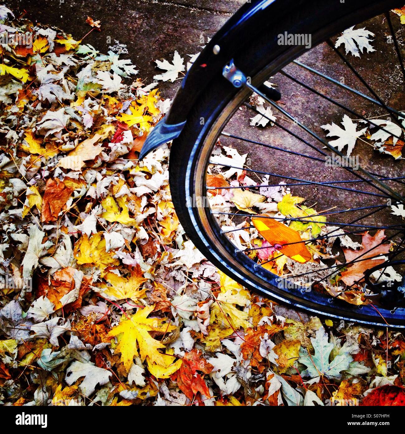 Biciclette - Immagine stock catturata con smartphone