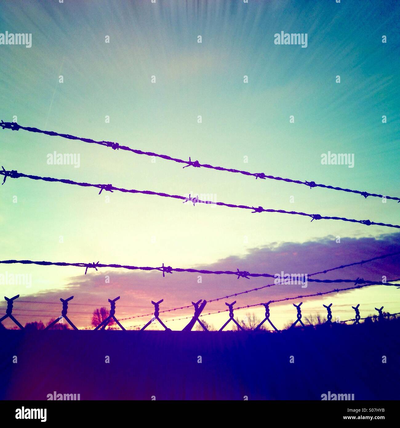 Barb wire stagliano contro un rosso cielo mattutino - Immagine stock catturata con smartphone