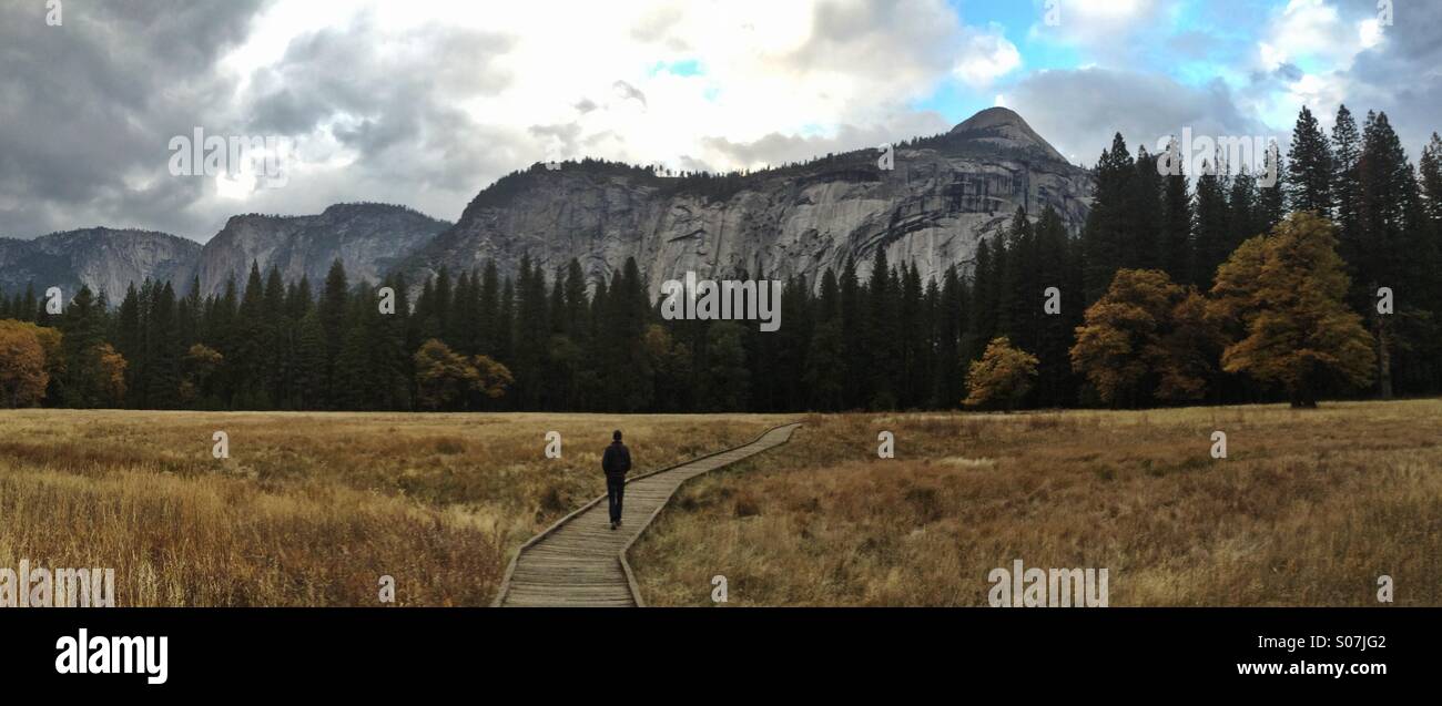 Uomo solitario a piedi attraverso Prato, il Parco Nazionale Yosemite in California - Immagine stock catturata con smartphone