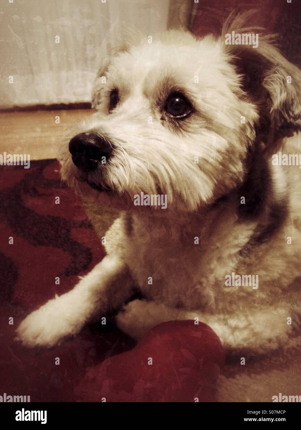 Nostalgia. Foto Stock