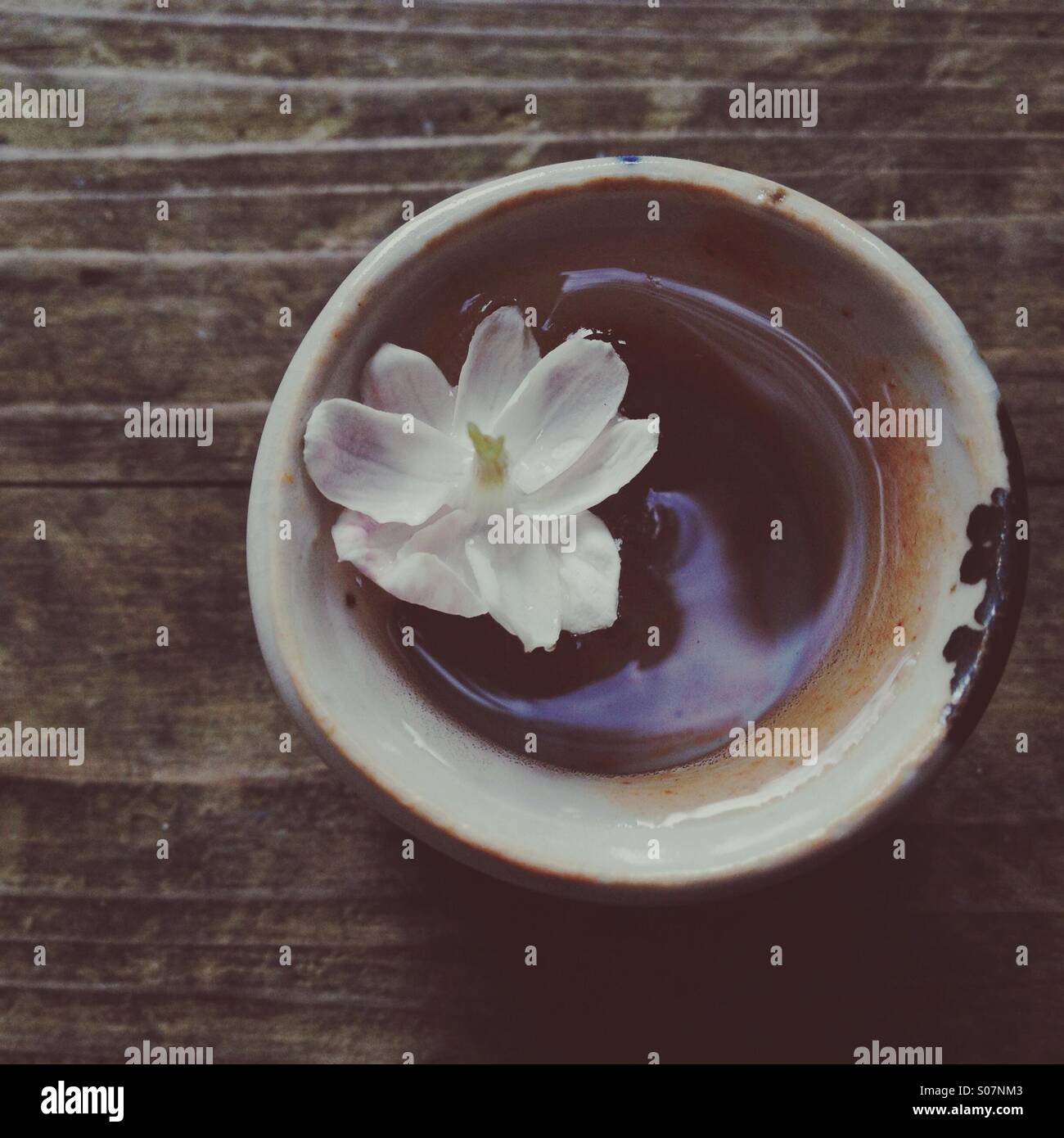 Piccoli fiori di gelsomino galleggianti in piccola tazza di argilla su legno dal di sopra. Foto Stock