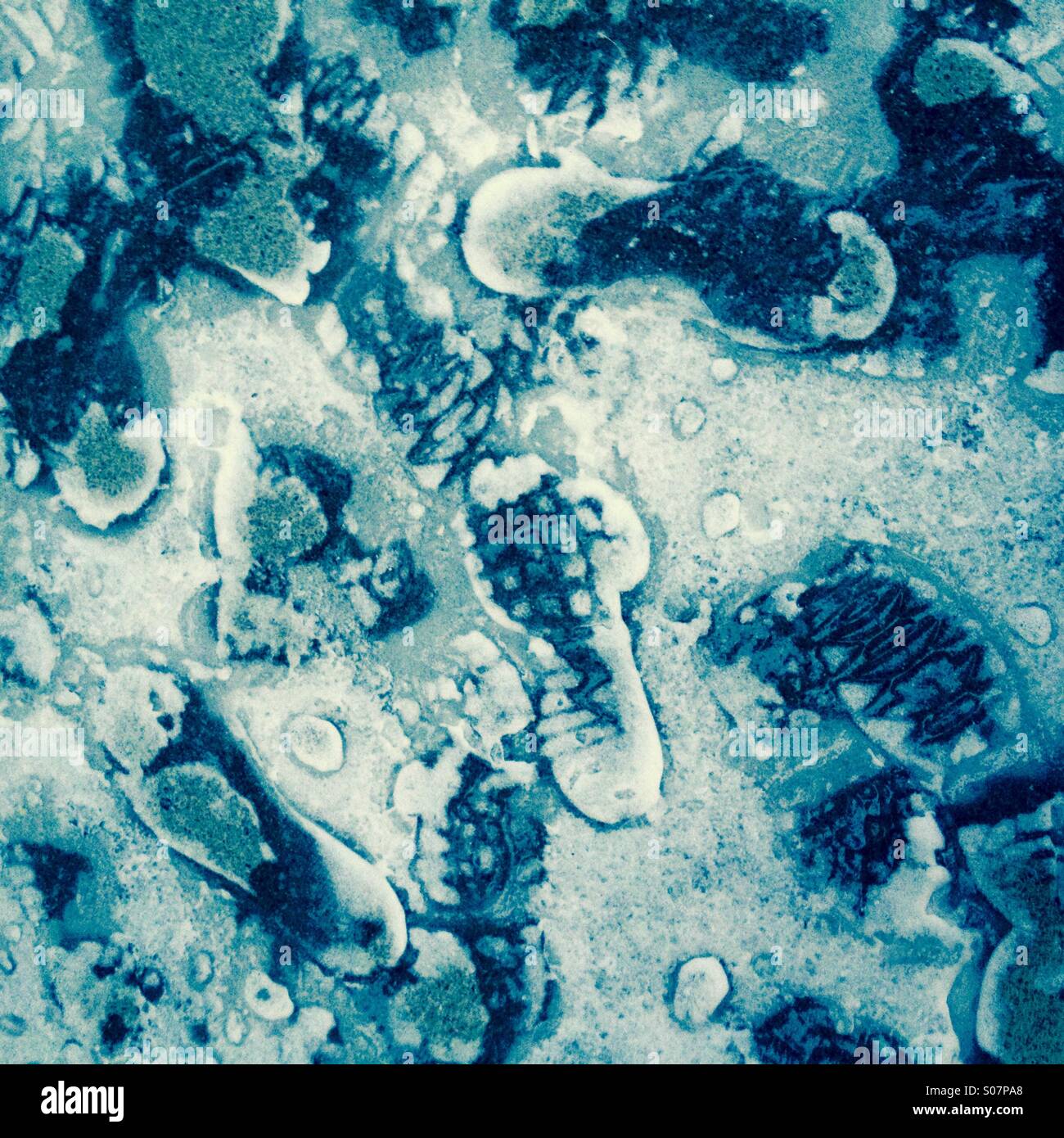 Orme - Immagine stock catturata con smartphone
