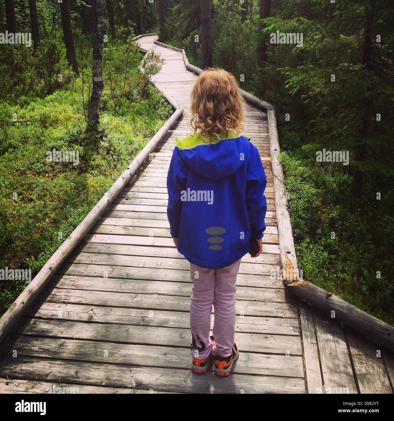 Una giovane ragazza guardando giù per un sentiero attraverso una fitta foresta nel nord della Finlandia in un enorme parco nazionale. Una torsione simbolica strada... Foto Stock