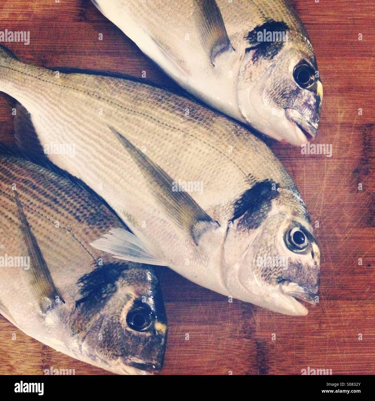 Orata pesce sulla tavola di legno sfondo Foto Stock