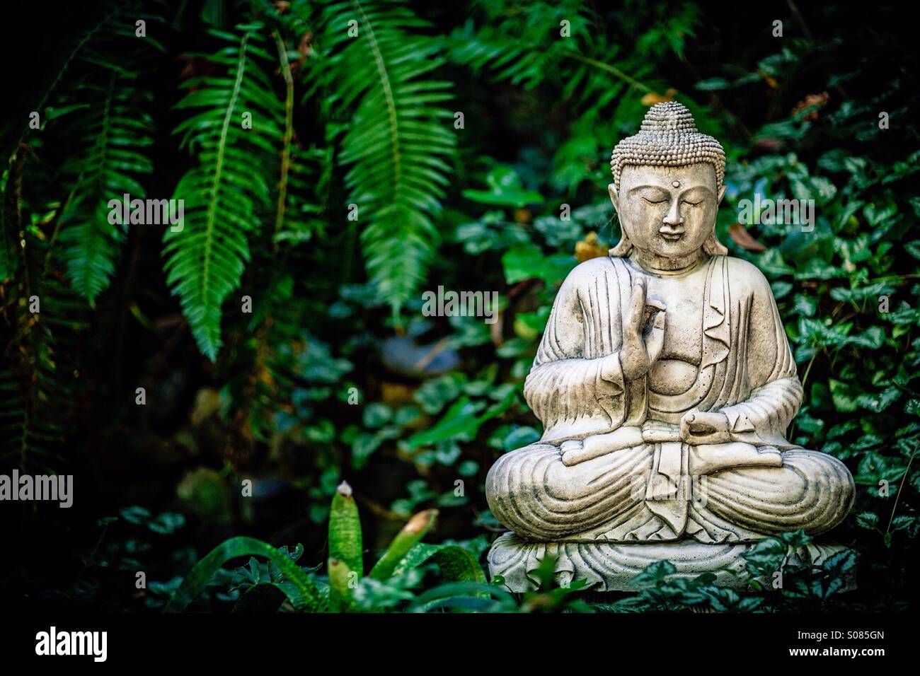 Buddha Foto Stock