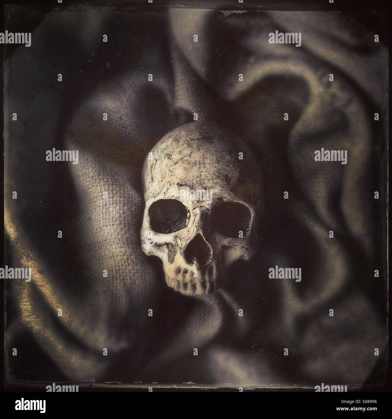 Cranio umano circondato da tela ruvida Foto Stock