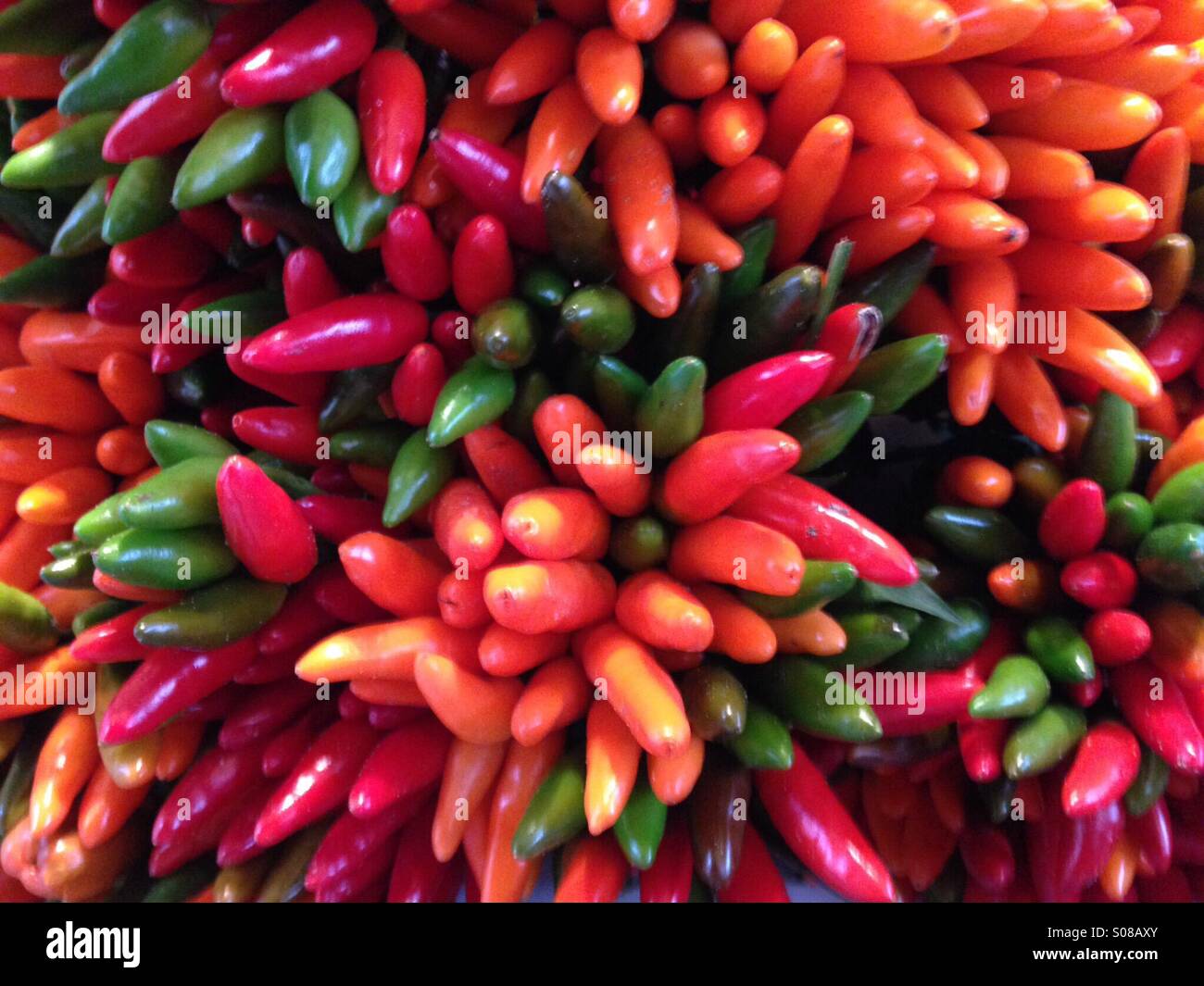 Hot i peperoncini in un mercato italiano Foto Stock