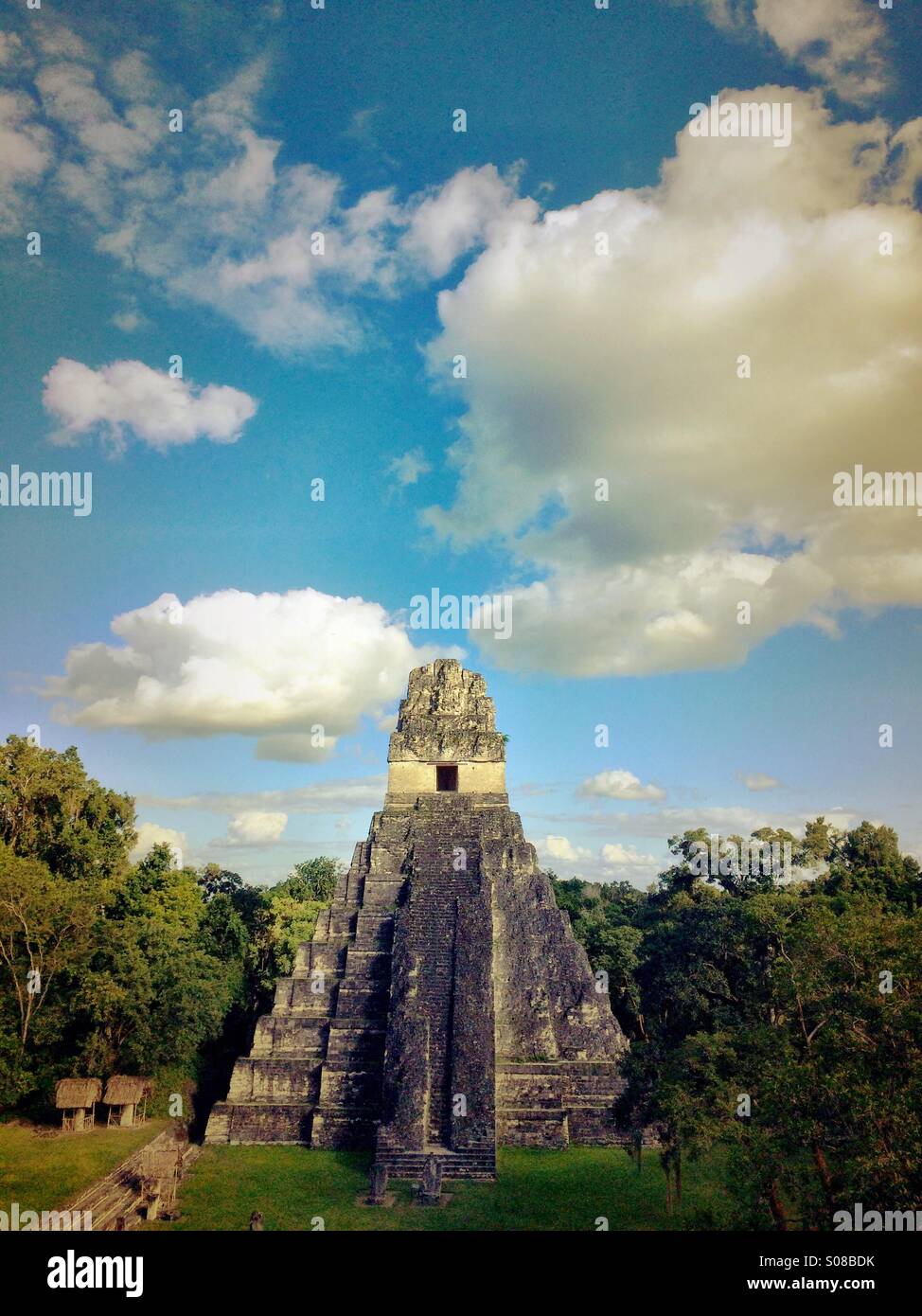 Piramide di Tikal, Guatemala Foto Stock