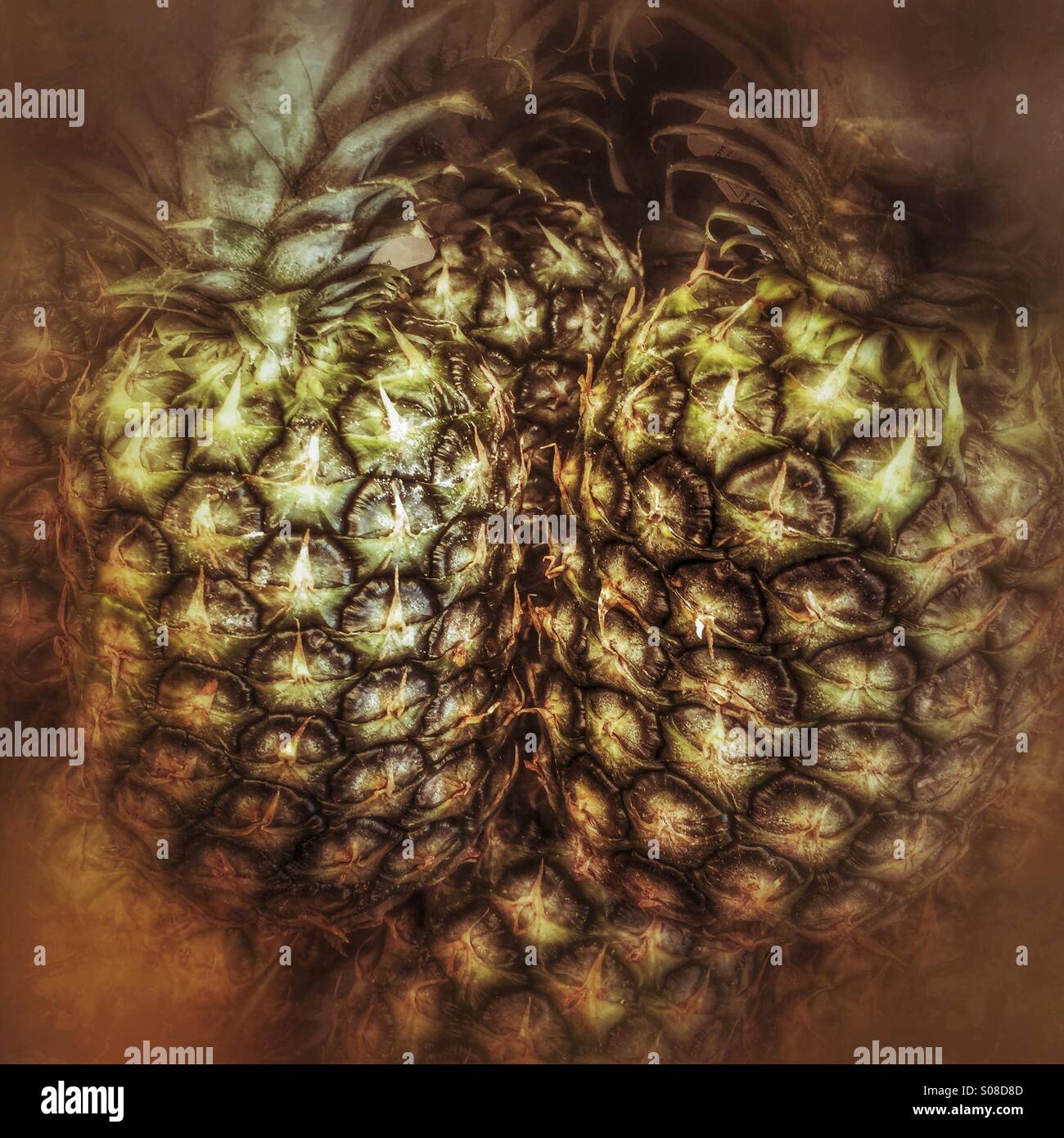 Ananas - Immagine stock catturata con smartphone