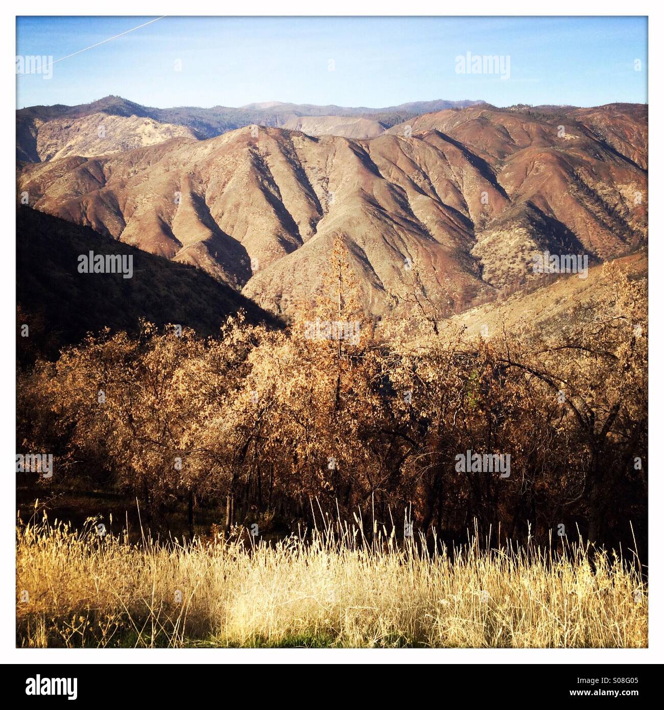 Colline sterili in California la Sierra Nevada causata dal 2013 Rim Fire. Stanislaus National Forest, Tuolumne County, California, Stati Uniti d'America Foto Stock