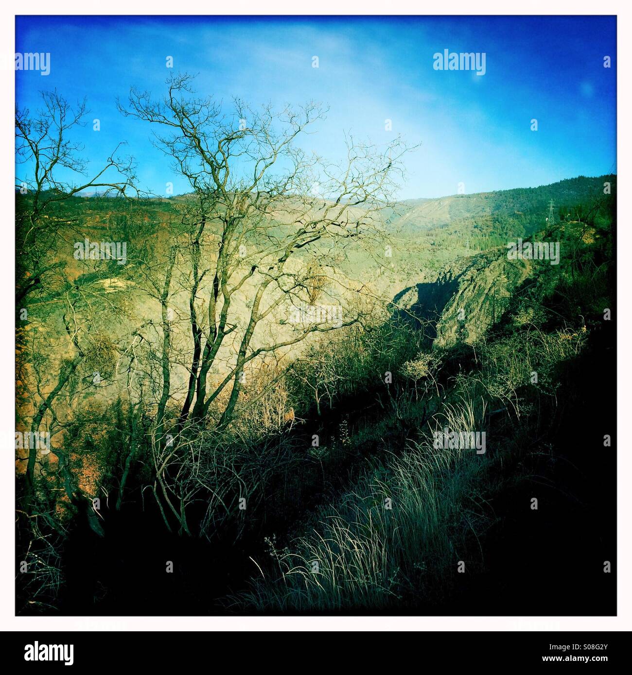 Colline sterili e alberi bruciati in California la Sierra Nevada causata dal 2013 Rim Fire. Stanislaus National Forest, Tuolumne County, California, Stati Uniti d'America Foto Stock