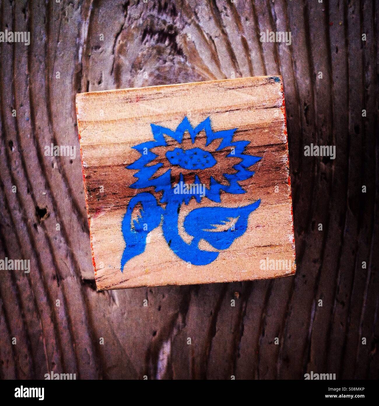 Girasole - Immagine stock catturata con smartphone